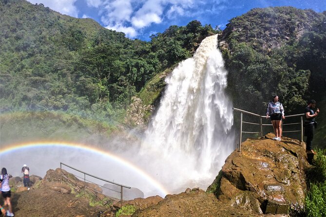 Aerial Hammocks, Zip and Waterfall Trek on Medellin Private Tour - The Real Rhythm of the Day: From Pickup to Return Around 17:30