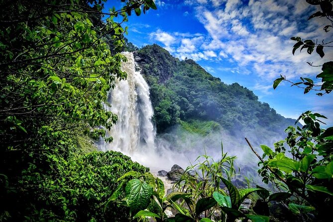 Aerial Hammocks, Zip and Waterfall Trek on Medellin Private Tour - Salto del Buey Waterfall Hike: A Real Walk to a Powerful Base