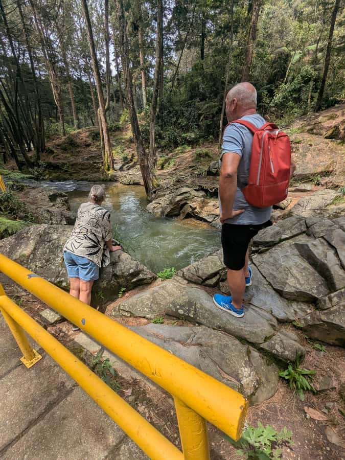Arvi Park Walking tour and city views from Metrocable. - Food and Coca Tea: A Taste of the Region’s Everyday Culture