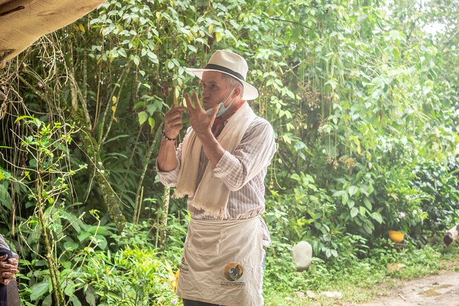 Best Coffee Tour from Medellin with Lunch and Transportation - The 8:30 Start and 6½ Hours: A Schedule That Feels Like a Morning Plan
