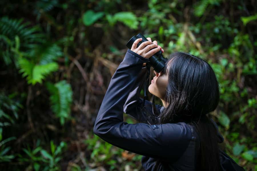 Birding Medellin with expert bird-watcher (Private) - Key things to know before you go