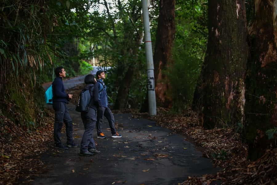 Birding Medellin with expert bird-watcher (Private) - Who this birding tour suits best