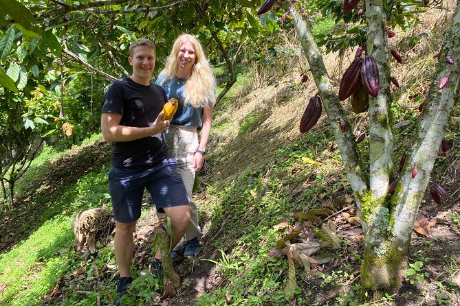 Chocolate tour near Medellin - Getting From Medellín to the Farm: Comfort, Pickup, and Timing
