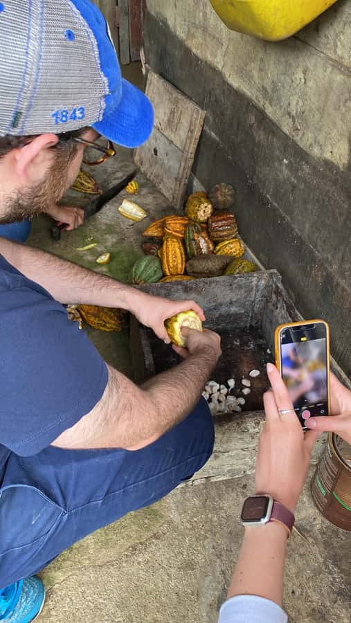 Chocolate tour near the Medellín - Key moments worth your time