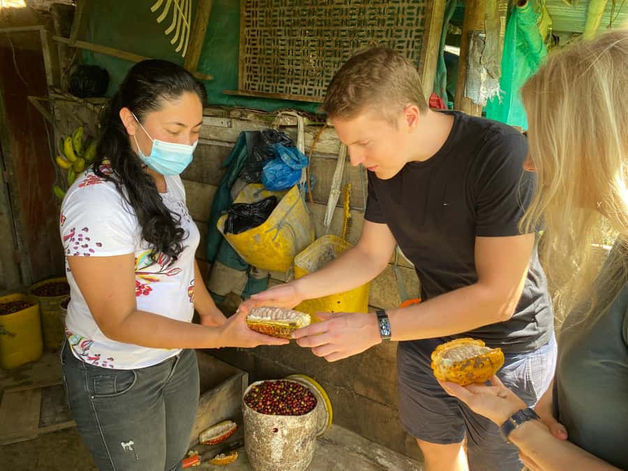 Chocolate tour near the Medellín - A Day Trip From Medellín to Barbosa Cocoa Country