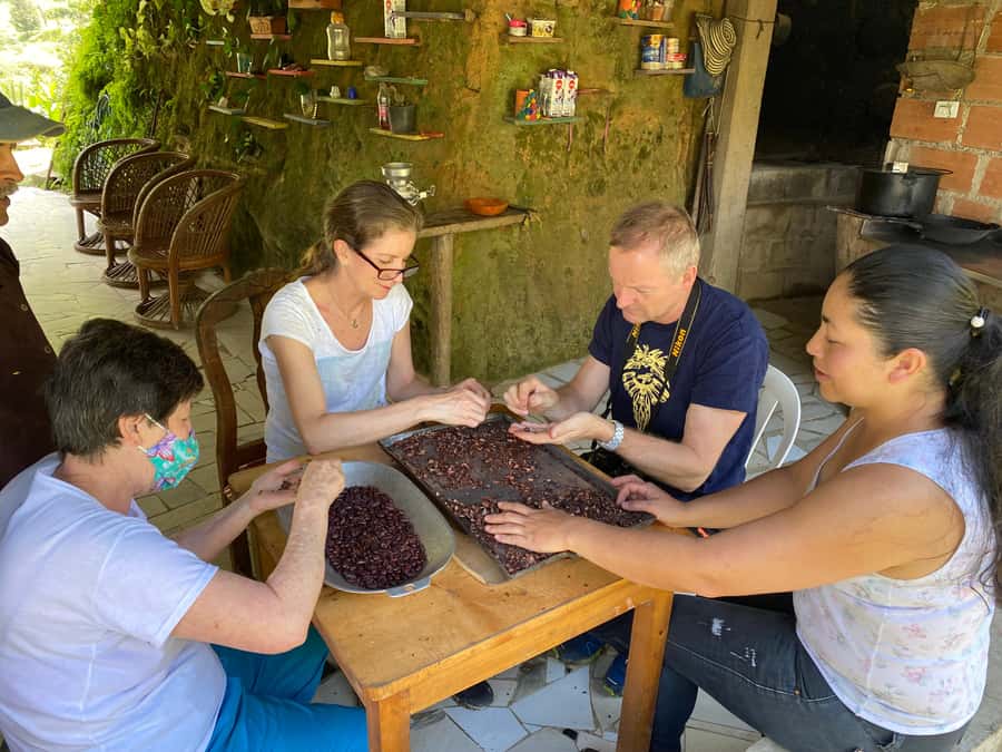 Chocolate tour near the Medellín - Tastings That Actually Teach You the Difference