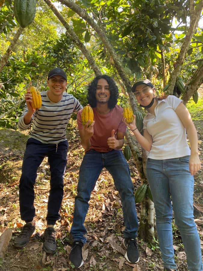 Chocolate tour near the Medellín - Meet the Family Farm Hosts and Learn the Bigger Story