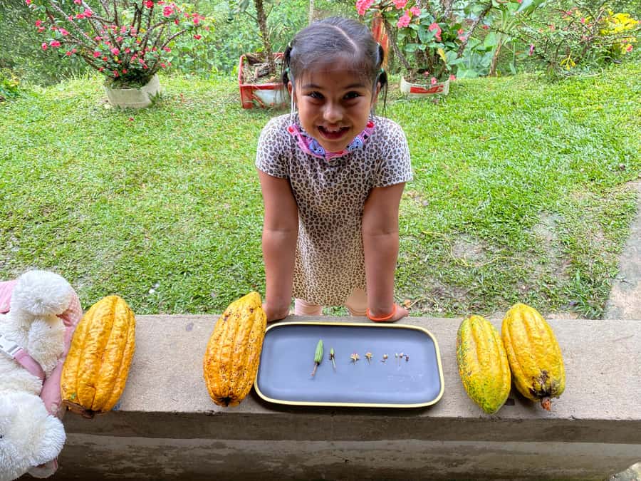 Chocolate tour near the Medellín - Value for $126: What You Get for the Price