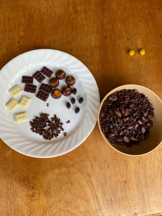 Chocolate tour near the Medellín - Who This Tour Suits Best (and Who Should Skip It)