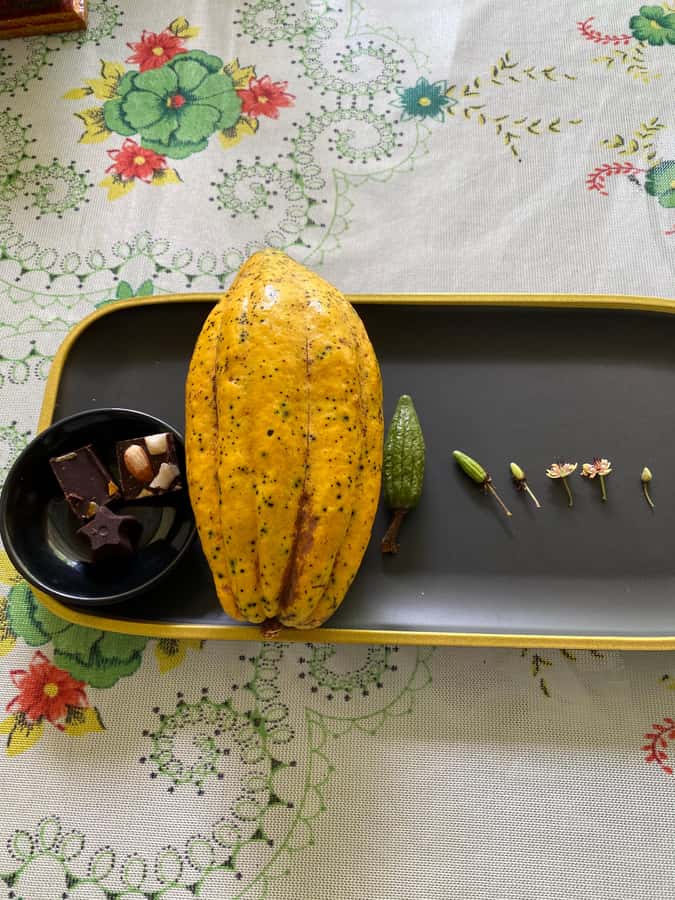 Chocolate tour near the Medellín - Should You Book This Cocoa Day Trip?
