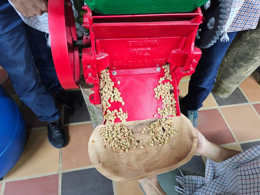 Coffee Experience with roasting show in Comuna 13 - Taste and evaluate two specialty coffees (without needing a coffee degree)