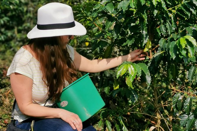 Coffee Farm & ATVs Private Tour in Medellin: Stunning Views & Fun - Key highlights to know before you go