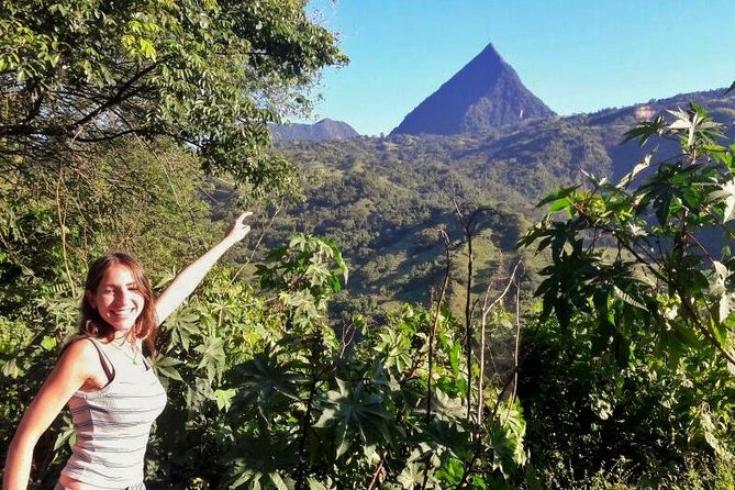 Coffee Tour in the Beautiful Jardin Town: Adventure in the Andes - At the Coffee Plantation: Unlimited Coffee and Hands-On Bean Picking