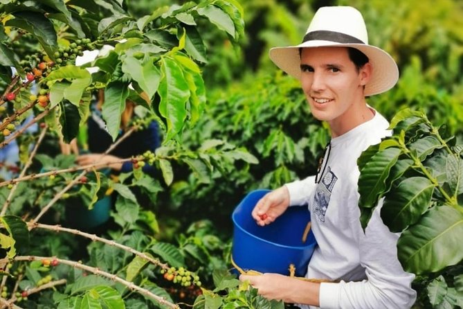 Coffee Tour in the Beautiful Jardin Town: Adventure in the Andes - Traditional Lunch on the Finca: Fuel for the Jardin Walk