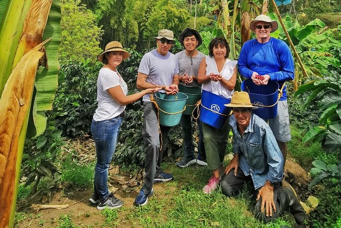 Coffee Tour in the Beautiful Jardin Town: Adventure in the Andes - Coffee-to-Cup Steps: What the Process Changes in Your Cup