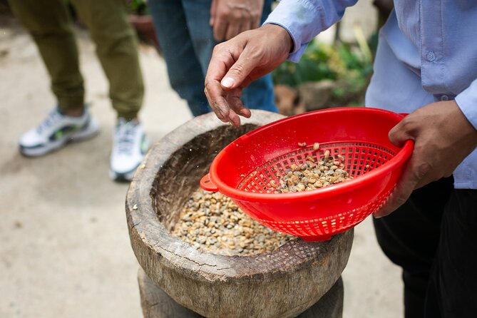 Coffee Tour with arrival on horseback and sugar cane processing - Coffee Tasting Methods: Turning a Tour into Better Cups
