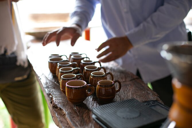 Coffee Tour with arrival on horseback and sugar cane processing - Timing, Transportation, and Why This Runs 4 to 6 Hours