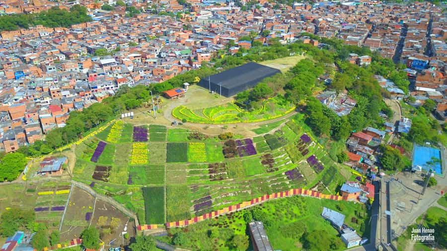 Comuna 4 - Moravia Tour - The guided rhythm: stop-by-stop through transformation and Moravia