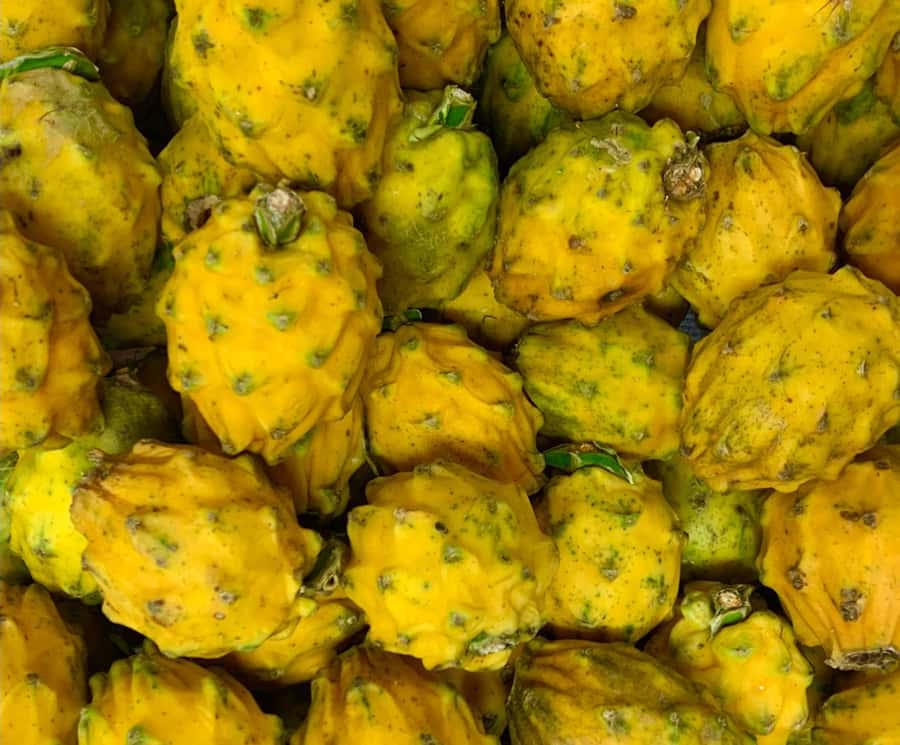 Essential Fruit Experience - Key things to know before you taste
