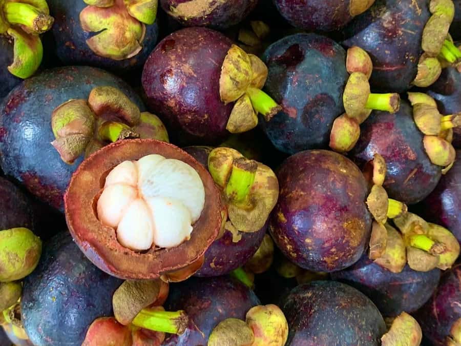 Essential Fruit Experience - Should you book the Essential Fruit Experience?
