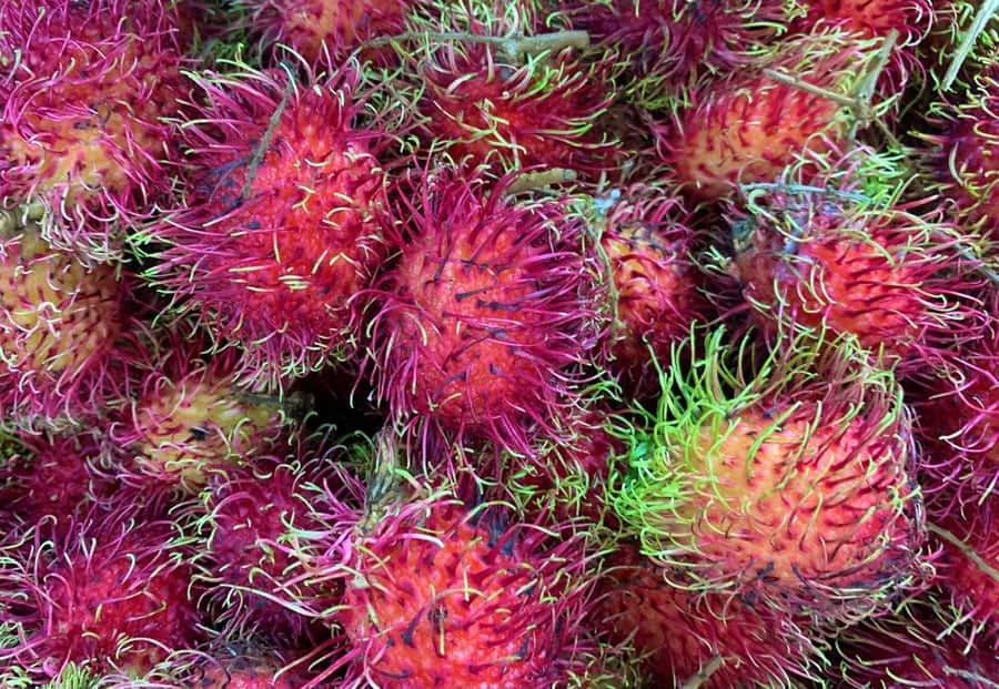 Essential Fruit Experience - Price and value: why $16 can be a smart food deal