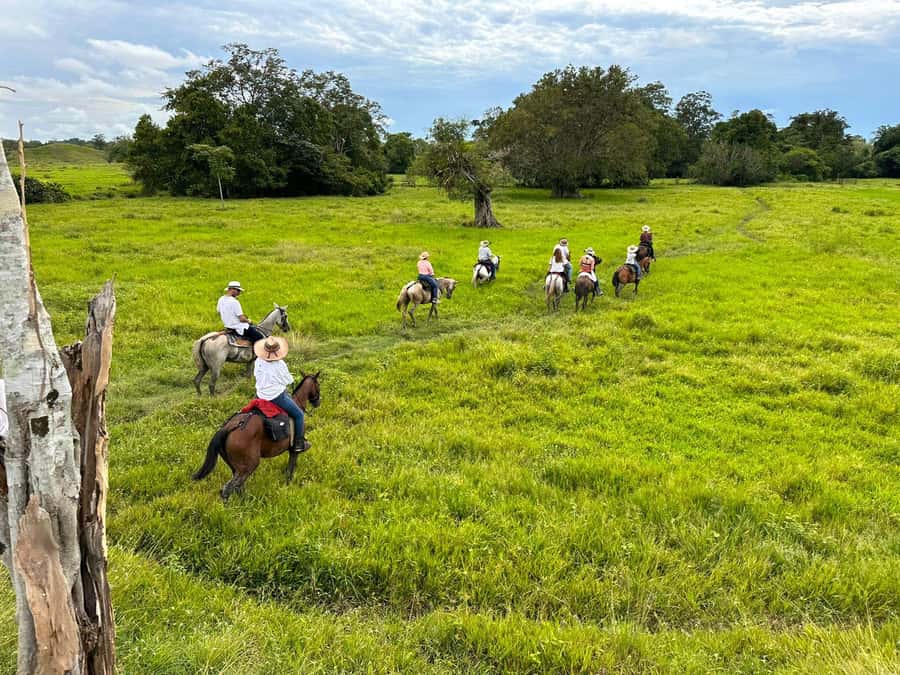 From Medellin; (All-In) The Real Horseback Ranch Experience - Key highlights you’ll care about