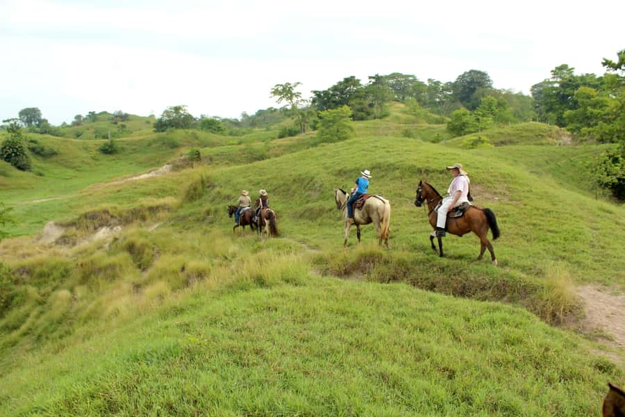From Medellin; (All-In) The Real Horseback Ranch Experience - The first ride: hills, water, and wildlife on the move