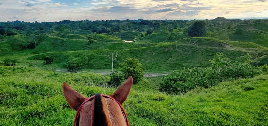 From Medellin; (All-In) The Real Horseback Ranch Experience - Fiambre picnic in the fields: a genuinely regional lunch