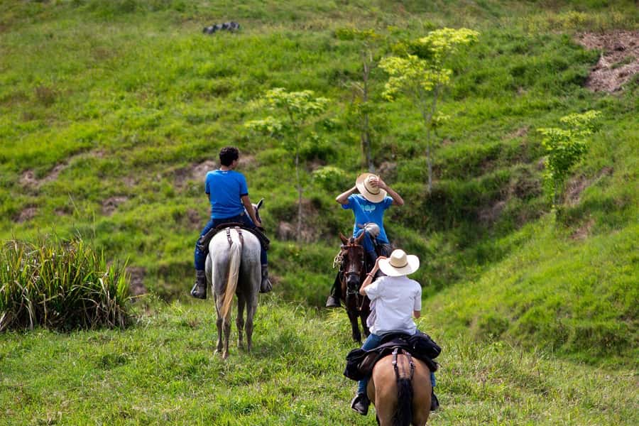 From Medellin; (All-In) The Real Horseback Ranch Experience - Break time with hammocks and pool dip (if time permits)