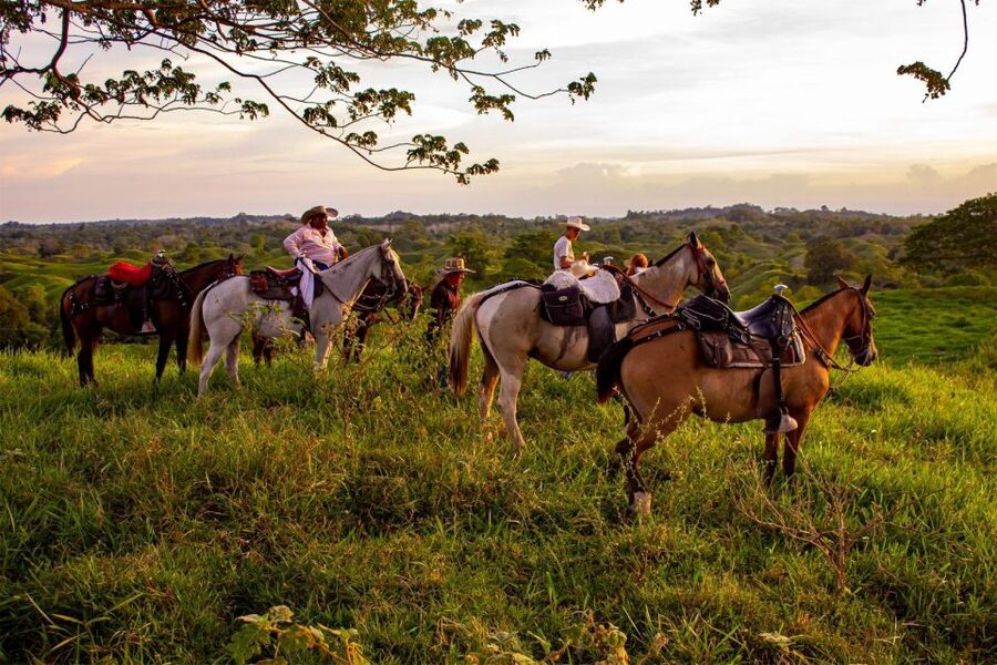 From Medellin; (All-In) The Real Horseback Ranch Experience - Second ride: more wild terrain and longer stretches