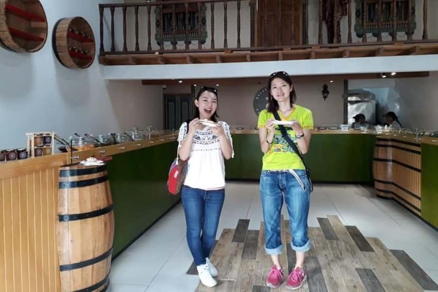 From Medellín: El Retiro Private Tour with Food Tastings - First Stop: Medellín Pick-Up and the Comfortable SUV Advantage