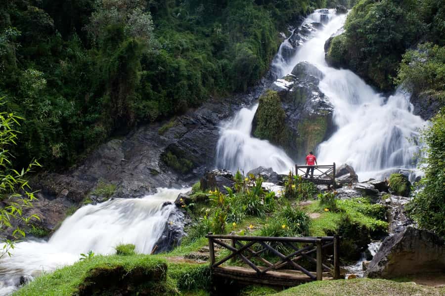 From Medellín: El Retiro Private Tour with Food Tastings - Andes Viewpoints: Getting Your Bearings Before You Eat