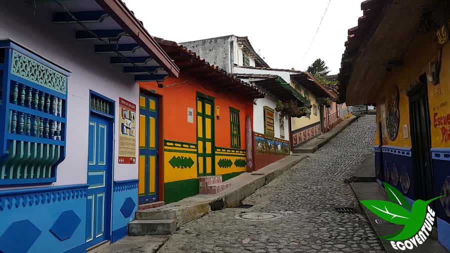 From Medellín: Paragliding Flight and Guatape Tour - Guides Make the Difference: Fabian, Diego, Jorge, Esteban