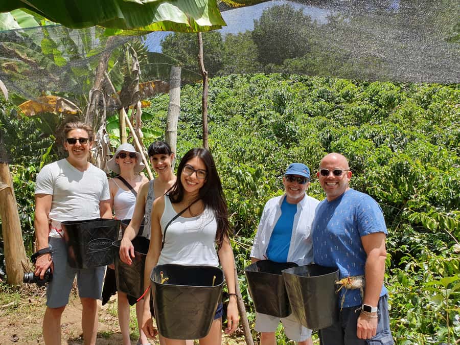 From Medellin: Private Envigado Coffee Tour with Tastings - Key things to know before you go