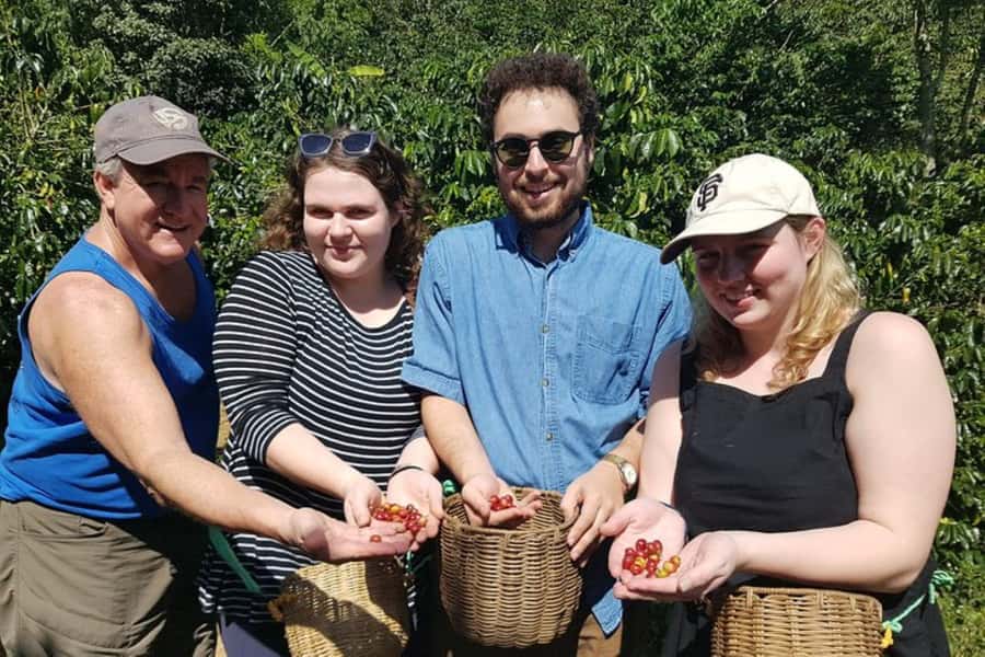 From Medellin: Private Envigado Coffee Tour with Tastings - Second plantation stop near the city: cultivation and flowers up close