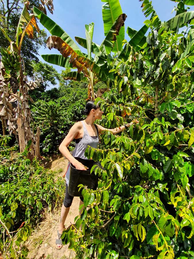 From Medellin: Private Envigado Coffee Tour with Tastings - What the guide adds: Fabian’s style and the vibe of the team