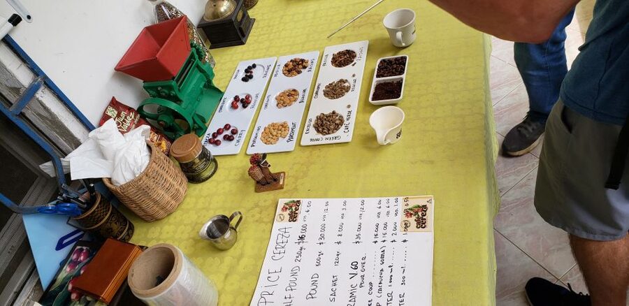 From Medellin: Private Envigado Coffee Tour with Tastings - Should you book this Medellín to Envigado coffee tour?
