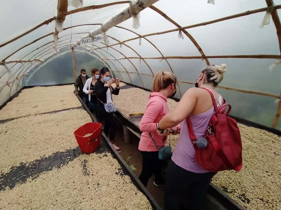 From Medellin: Private Envigado Coffee Tour with Tastings - Coffee villa: seed to cup explained in a real working setting