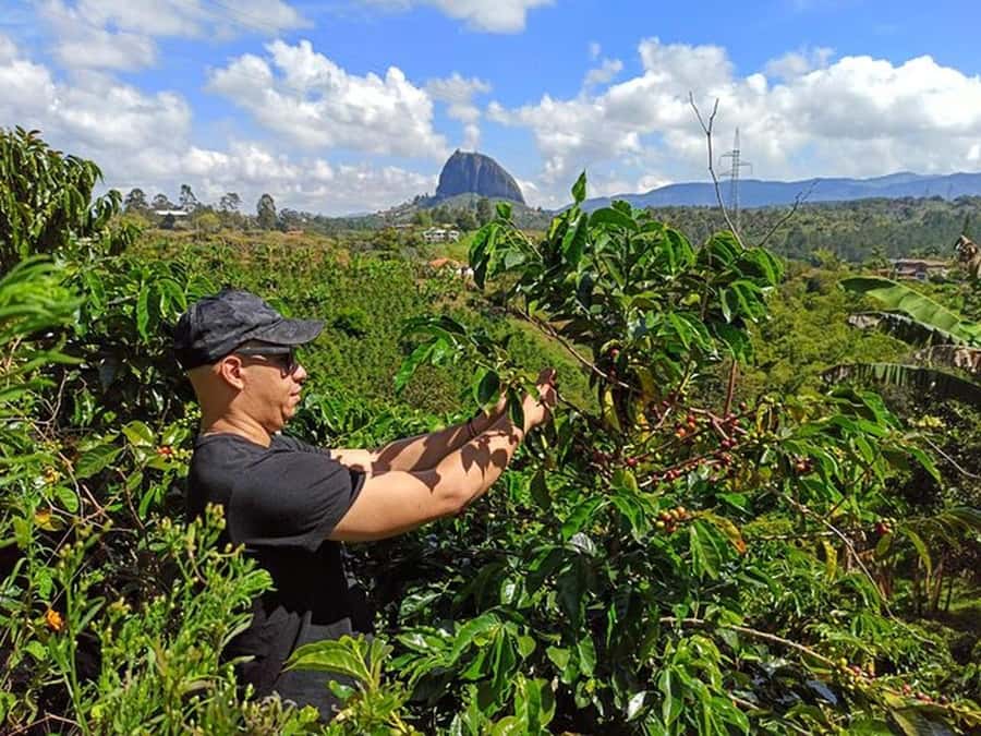 Guatapé & Coffee Farm, all in one day - A working coffee farm experience that focuses on the real process