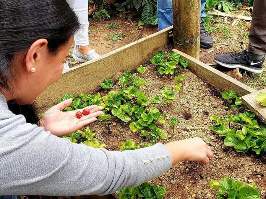 Guatapé & Coffee Farm, all in one day - Piedra del Peñol: the climb that gives you the dam views