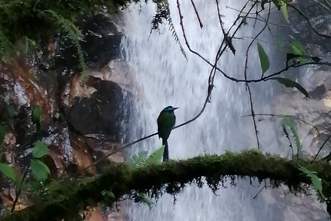 Half Day Waterfall Tour from Medellin - Snacks, Coffee, and What the Included Food Means