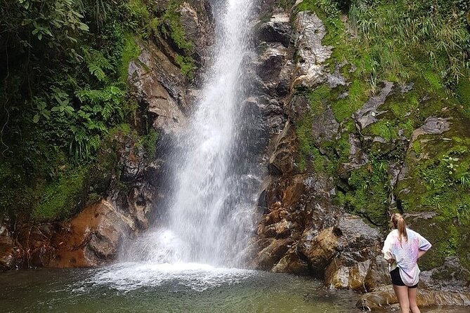 Half Day Waterfall Tour from Medellin - Weather, Timing, and the Day-Of Plan