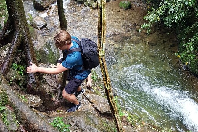 Half Day Waterfall Tour from Medellin - The Trail Reality: Mud, Water, and Staying Confident