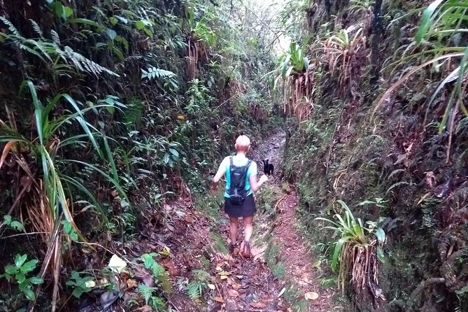 Hiking Mountains and Magical Forests - Key things that make this hike special