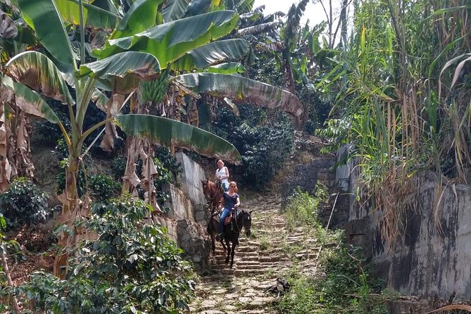 Horseback Riding Adventure from Medellin - Wildlife and Photo Moments: Where to Look During the Ride