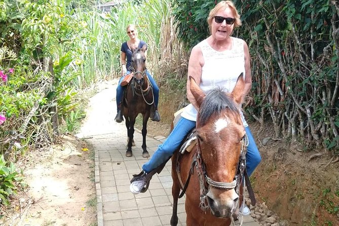 Horseback Riding Adventure from Medellin - Transport, Group Size, and Guide Vibe