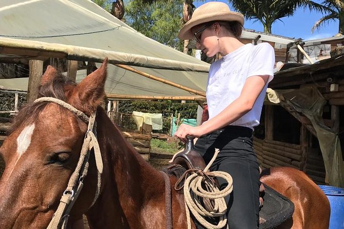Horseback Riding Adventure from Medellin - Price and Value: Is $137.75 a Smart Spend?