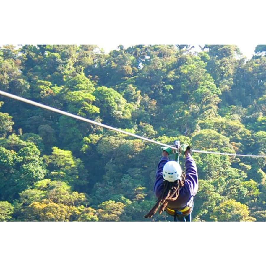 Medellin: 4-Hour Zip-Line Adventure - Should You Book This Medellín 4-Hour Zip-Line Adventure?