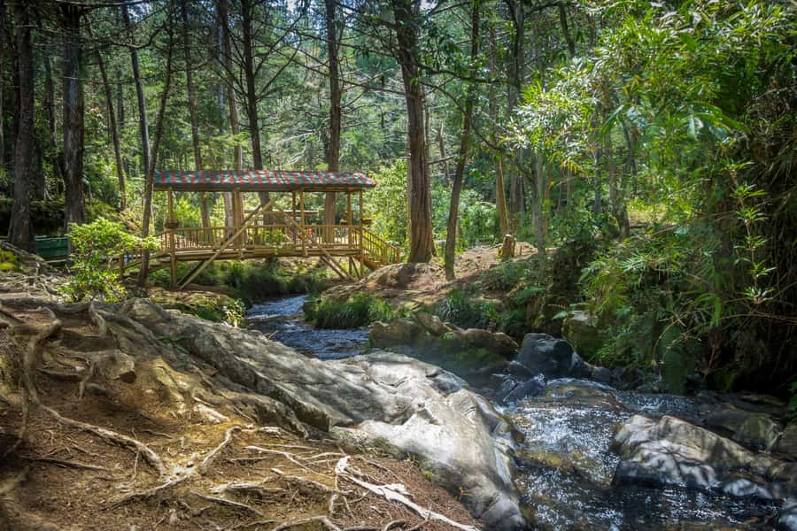 Medellín: Botanical Garden and Arvi Park City Tour - Key points worth knowing before you go