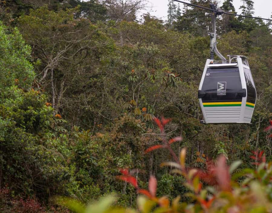 Medellín: Botanical Garden and Arvi Park City Tour - Botanical Garden of Medellín: a living museum for biodiversity